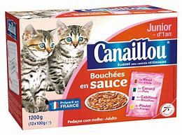 CANAILLOU-CHAT