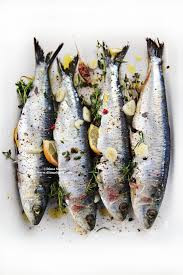 SARDINE DIMA x50