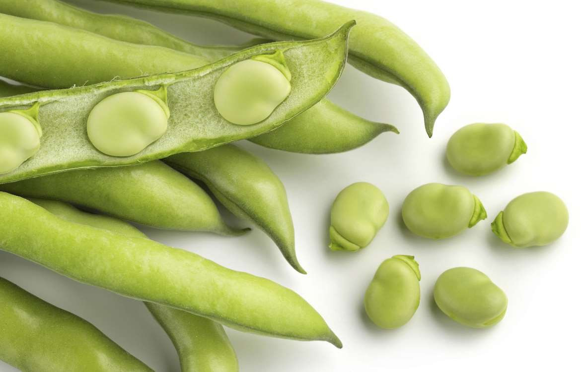 HARICOT VERT