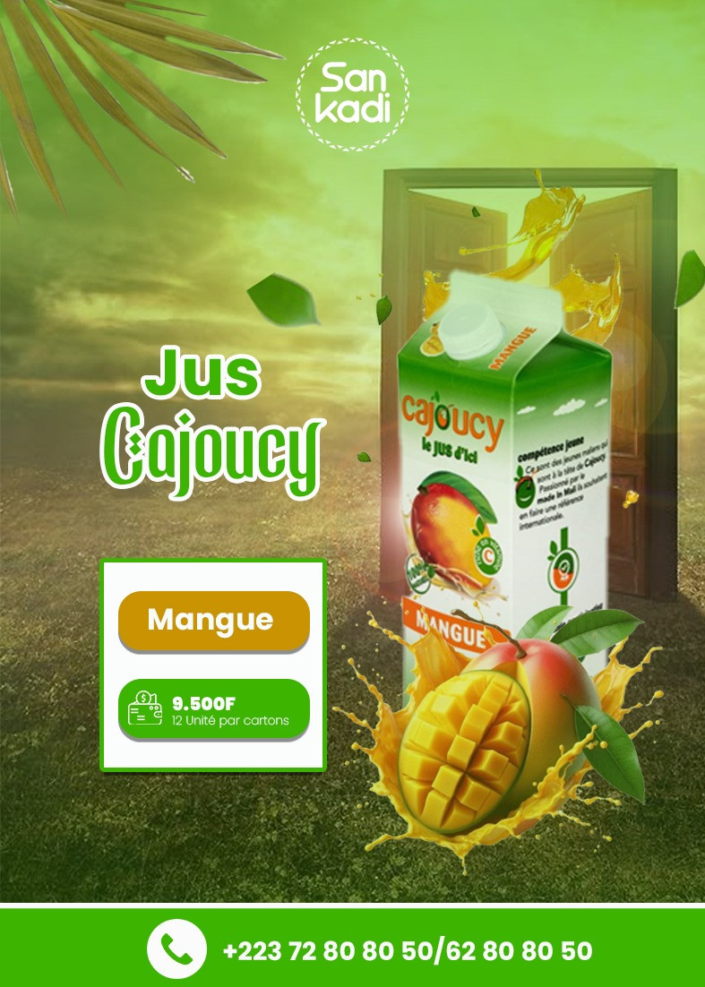 Jus de mangue ×12