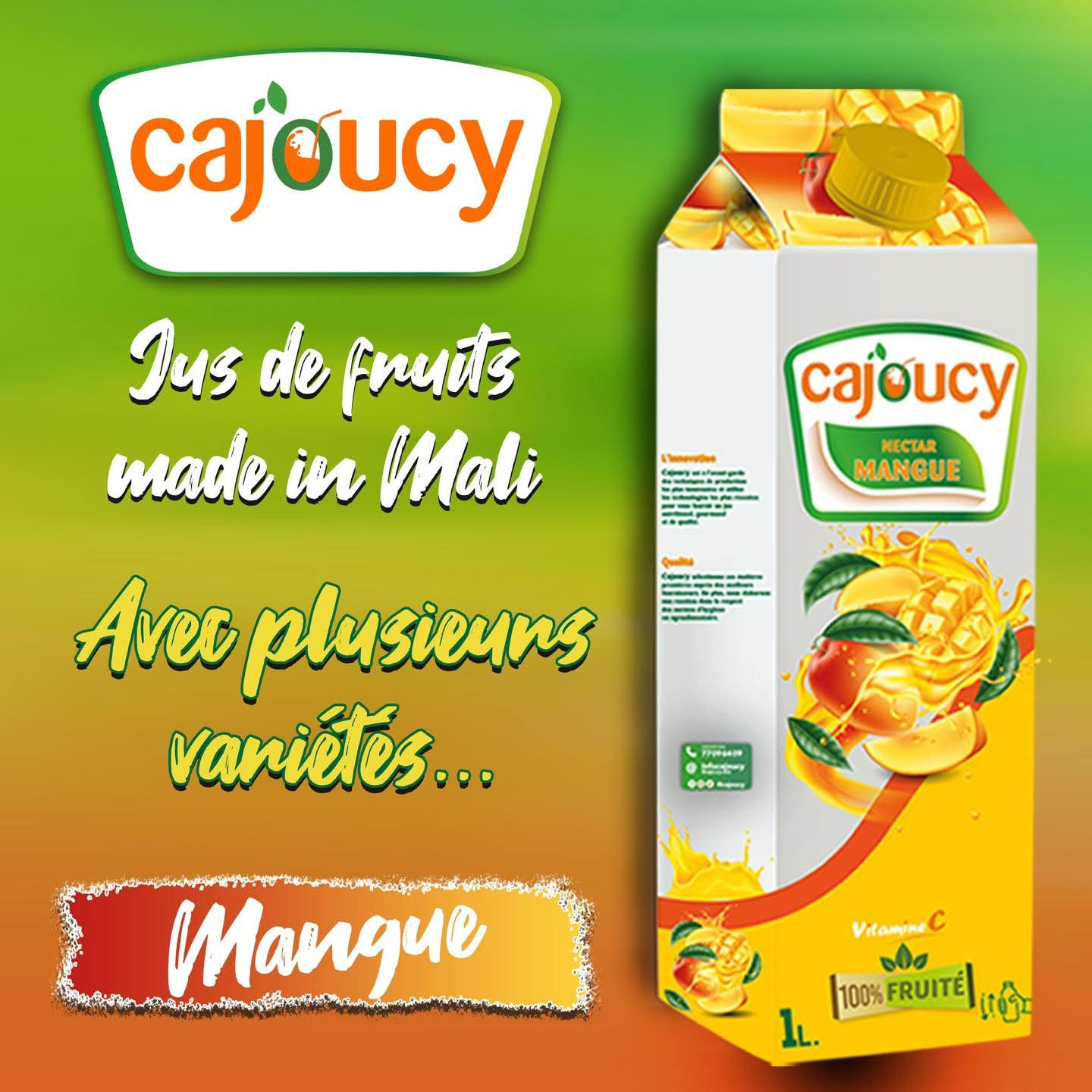 Jus de mangue ×12