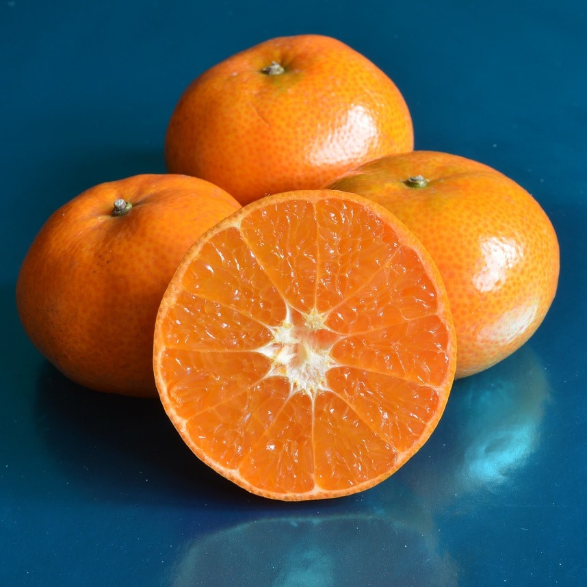 Mandarine Maroc 1kg