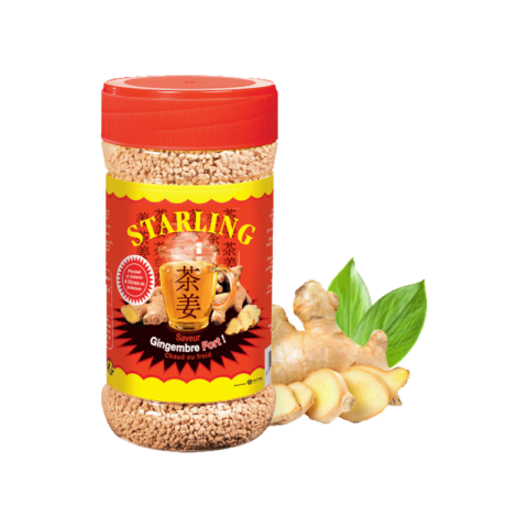 Starling Gingembre
