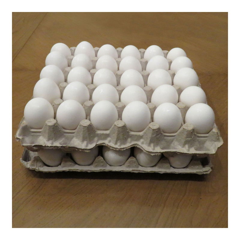 Oeuf ALVEOLES