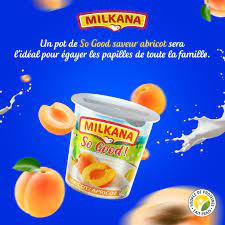 Yaourt Milkana Abricot