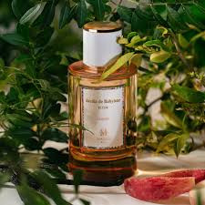 Jardin de Babylone Jasmin