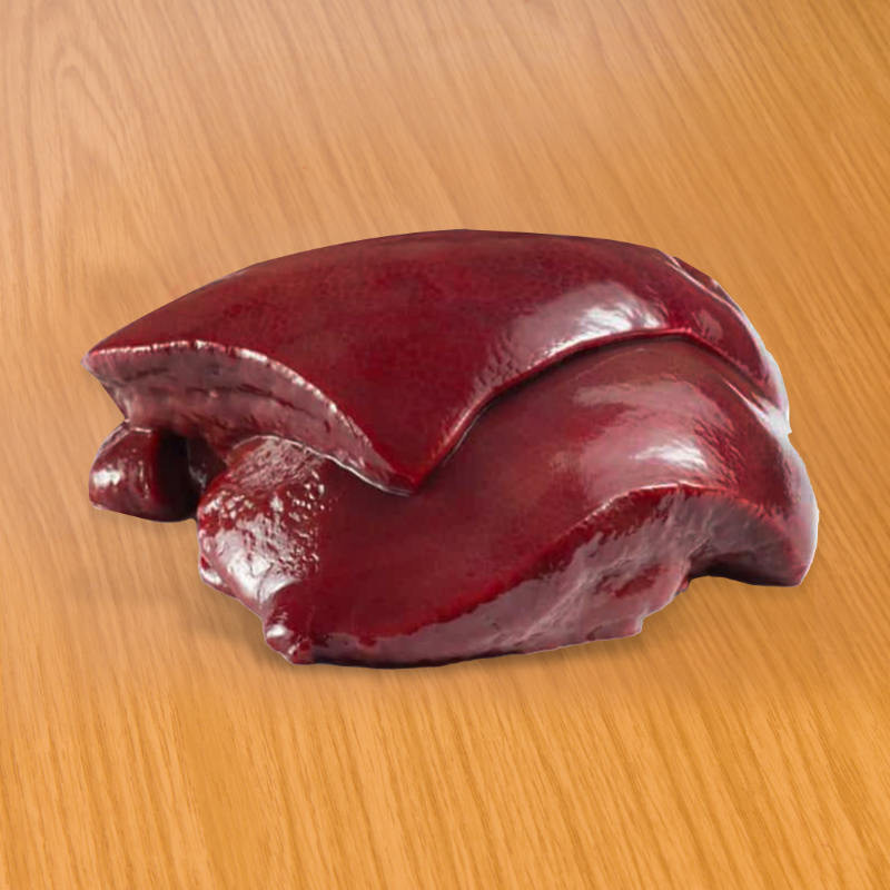 FOIE DE BOEUF